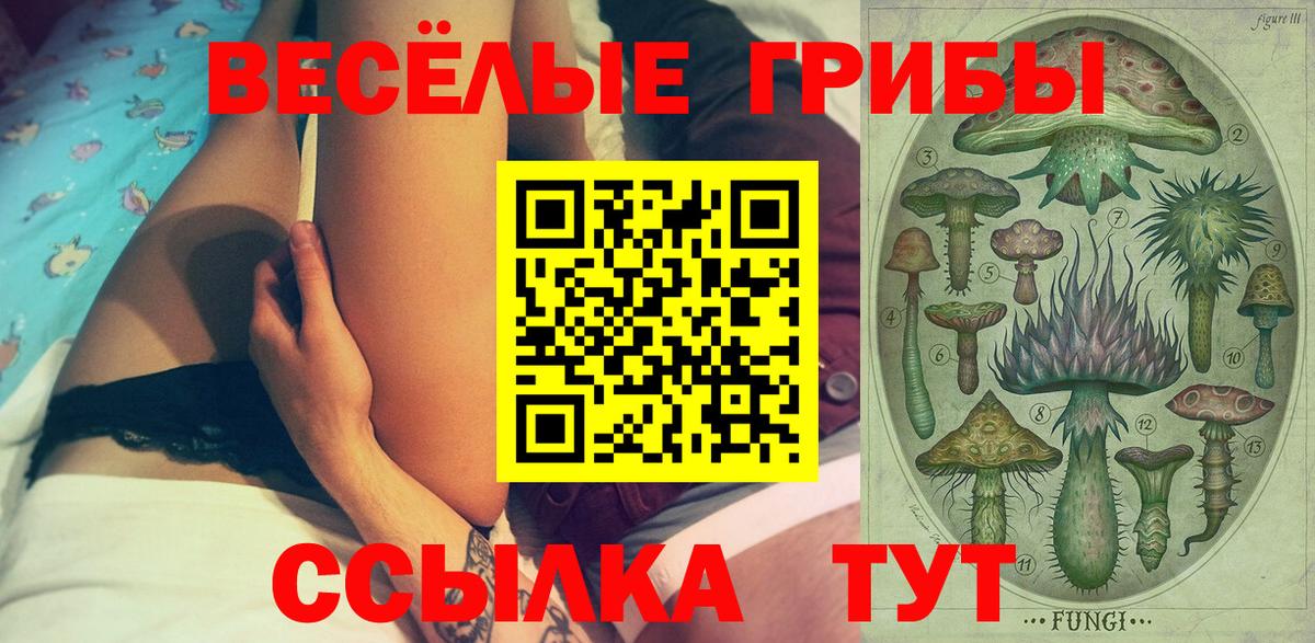 Галлюциногенные грибы Psilocybe Углич